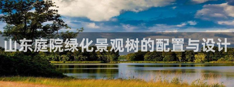 摩根娱乐宝-