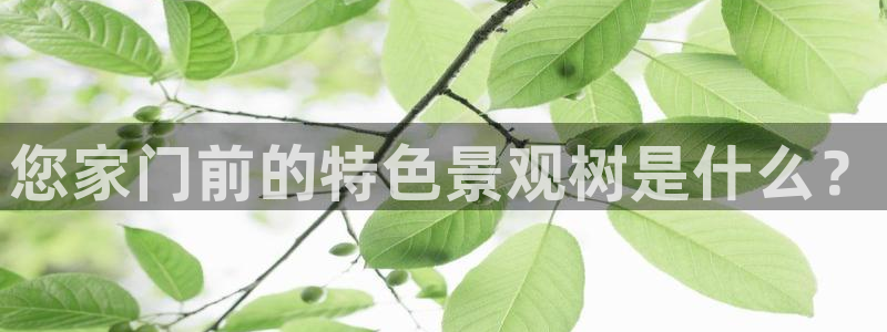 摩根娱乐宝杀单吗
