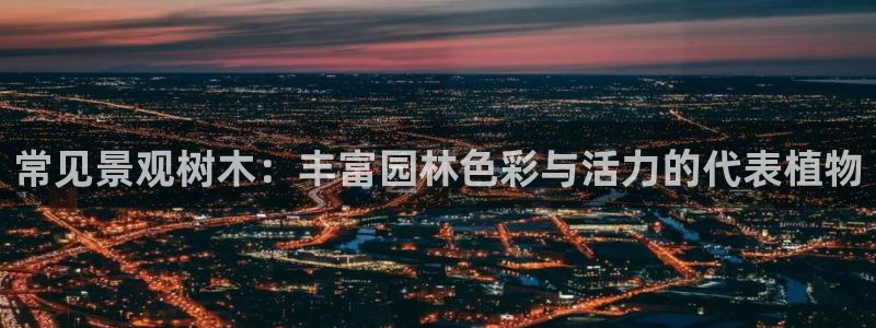 上投摩根娱乐